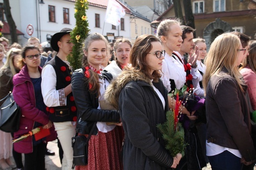 Niedziela Palmowa młodych w Bielsku-Białej 2019 - procesja do katedry