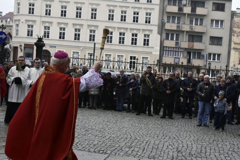 Niedziela Palmowa w parafii katedralnej