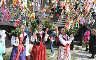 Rozłożyste i zdobione kwiatami oraz wstążkami - takie mają być palmy gilowickich dziewcząt.