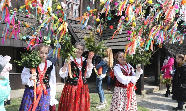 Rozłożyste i zdobione kwiatami oraz wstążkami - takie mają być palmy gilowickich dziewcząt.