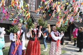 Rozłożyste i zdobione kwiatami oraz wstążkami - takie mają być palmy gilowickich dziewcząt.