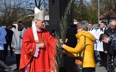 Niedziela Palmowa w Łowiczu