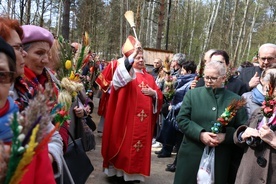 Palmy poświęcił bp Henryk Tomasik