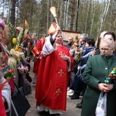 Palmy poświęcił bp Henryk Tomasik