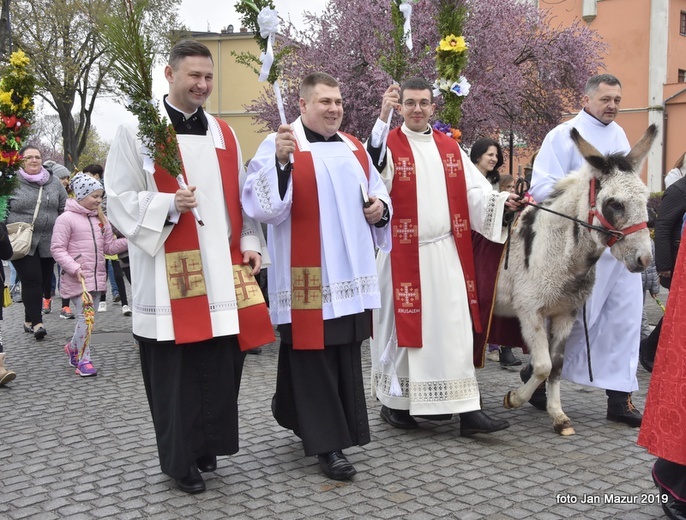 Niedziela Palmowa w Żaganiu