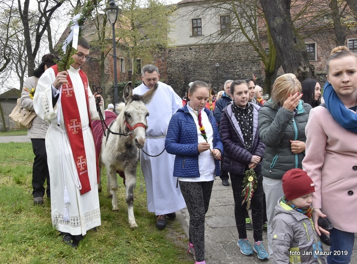 Niedziela Palmowa w Żaganiu