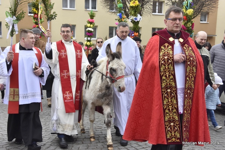 Niedziela Palmowa w Żaganiu