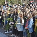 Niedziela Palmowa młodych diecezji płockiej