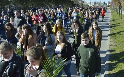 Niedziela Palmowa młodych diecezji płockiej