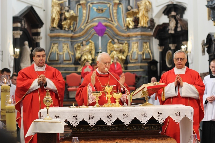 Niedziela Palmowa w Łowiczu - cz.2 