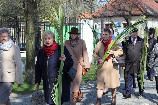 Niedziela Palmowa w Łowiczu - cz.2 