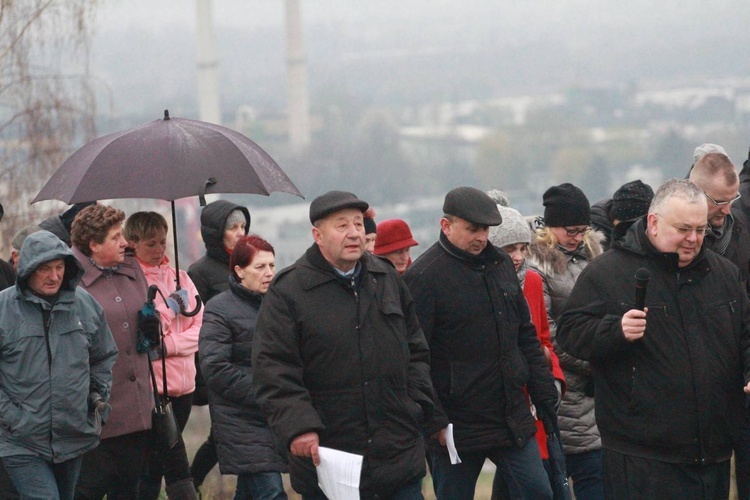 Poświęcenie krzyża w Biegonicach