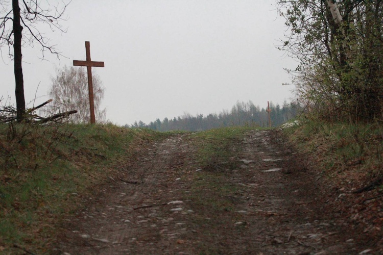 Poświęcenie krzyża w Biegonicach