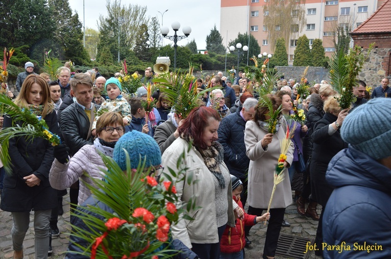 Niedziela Palmowa w Sulęcinie