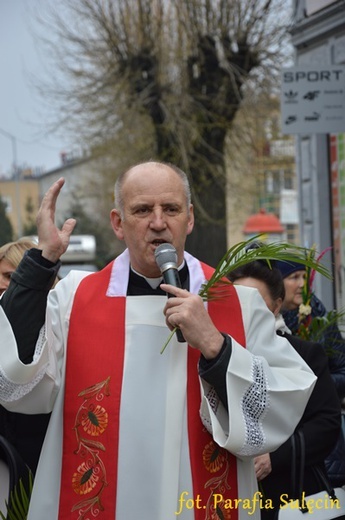 Niedziela Palmowa w Sulęcinie