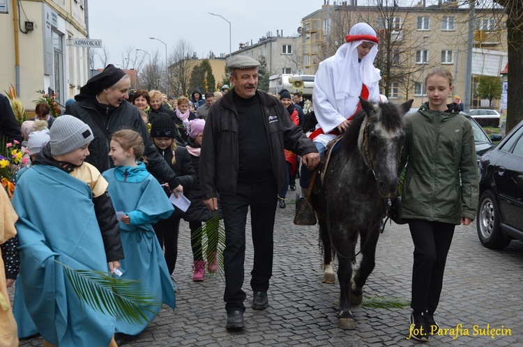 Niedziela Palmowa w Sulęcinie