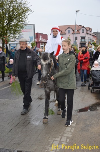 Niedziela Palmowa w Sulęcinie