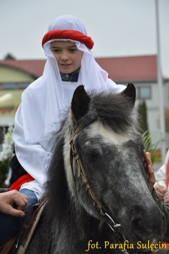 Niedziela Palmowa w Sulęcinie