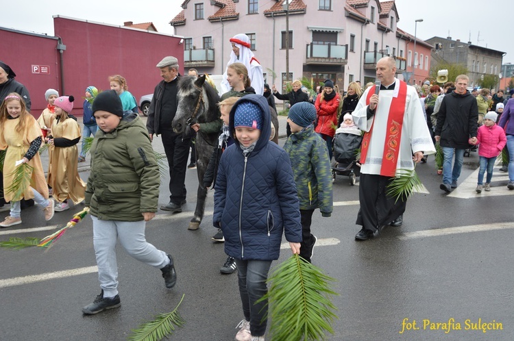 Niedziela Palmowa w Sulęcinie