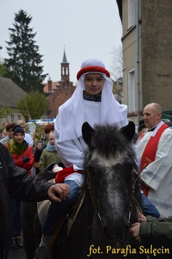 Niedziela Palmowa w Sulęcinie