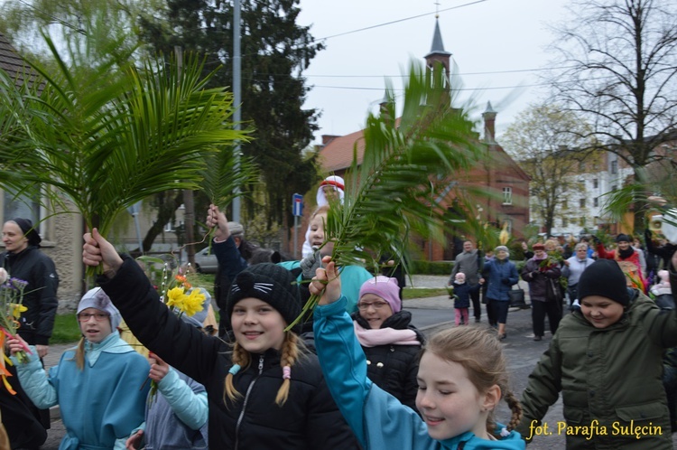 Niedziela Palmowa w Sulęcinie