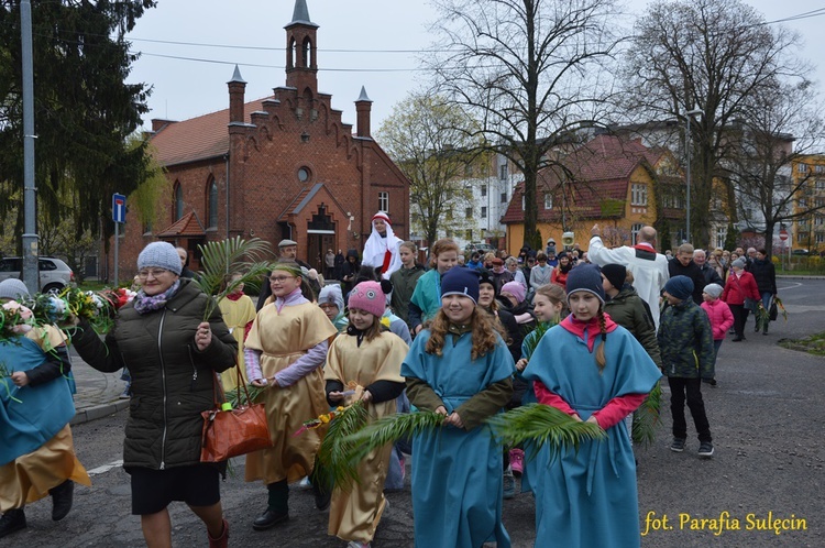 Niedziela Palmowa w Sulęcinie