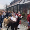 Alpaki przeszły z mieszkańcami Kłodzka w procesji palmowej.