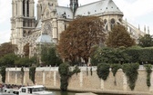 Katedra Notre Dame