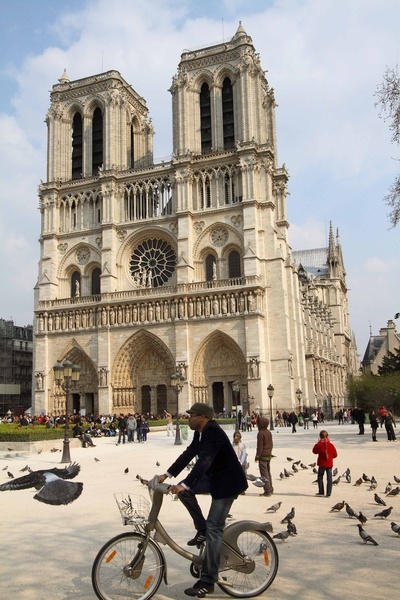 Katedra Notre Dame