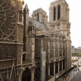 Katedra Notre Dame