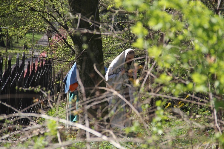 Chwalebne Misterium Męki Pańskiej w Piekarach - Wielki Czwartek