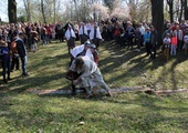 Potok Cedron w Piekarach Śląskich