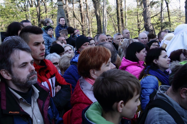 Wielki Piątek w Kalwarii Zebrzydowskiej - 2019 