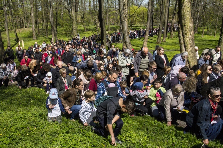 Droga Krzyżowa w Dzikowie