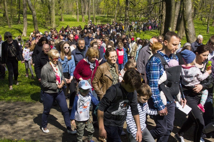 Droga Krzyżowa w Dzikowie