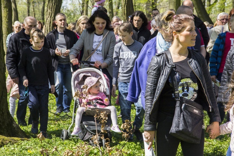 Droga Krzyżowa w Dzikowie