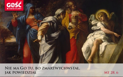Brak tytułu