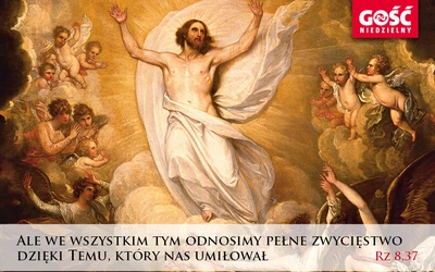 Brak tytułu