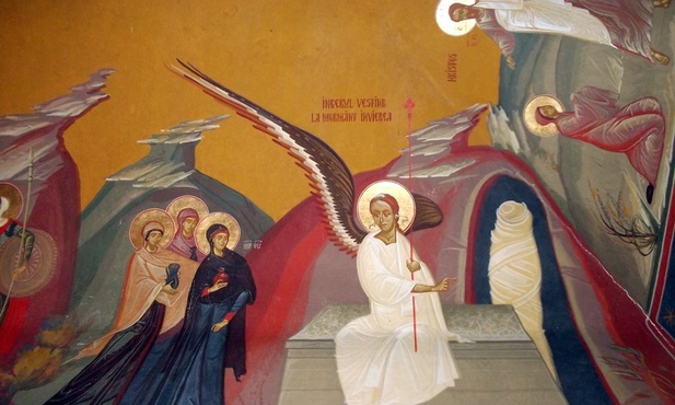 Zwycięski program życia