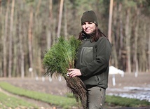 ▲	Magdalena Batugowska jest odpowiedzialna za leśnictwo ds. szkółkarstwa w Ostrowcu Świętokrzyskim