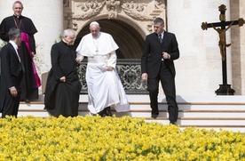 Franciszek podczas audiencji generalnej