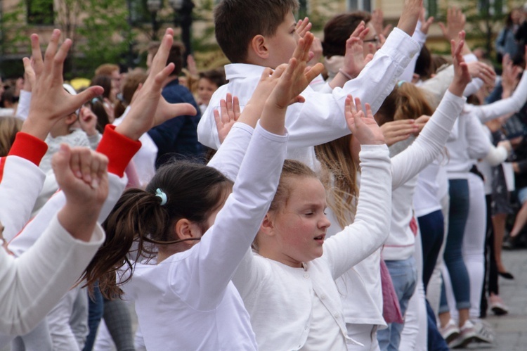 Róża dla Jezusa Miłosiernego 2019