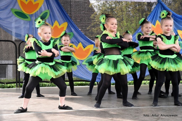 Piknik Wojciechowy w Międzyrzeczu