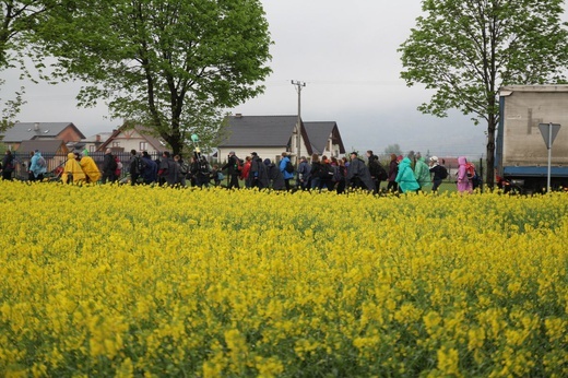 Grupa św. Matki Teresy - 2019