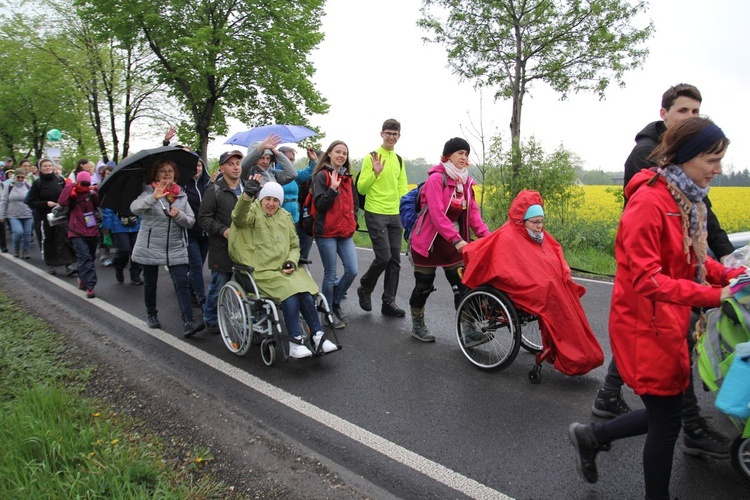 Grupa św. Maksymiliana - 2019