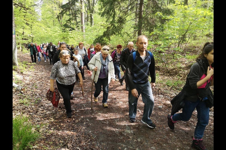 Ślężańska majówka 2019