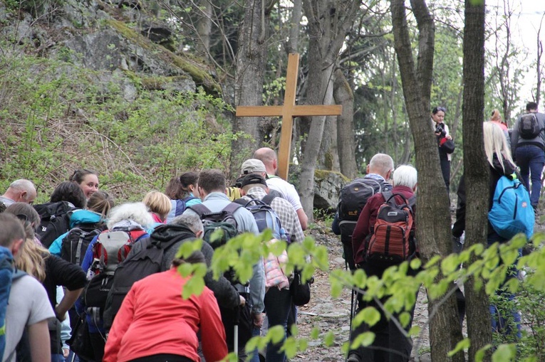 Ślężańska majówka 2019