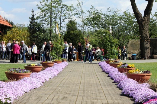Piesza pielgrzymka szensztacka 