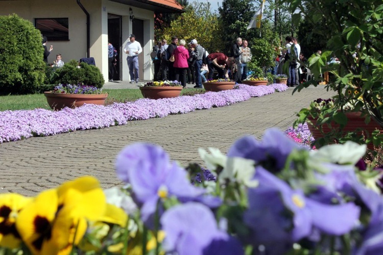 Piesza pielgrzymka szensztacka 