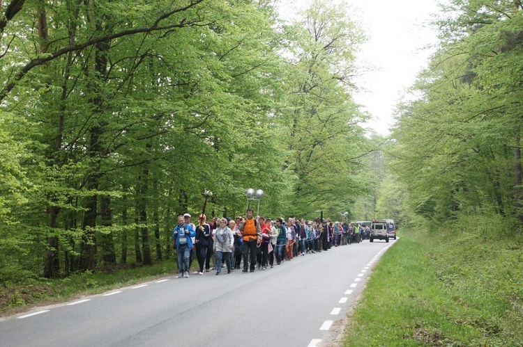 17. Piesza Pielgrzymka ze Świdnicy do Sulistrowiczek